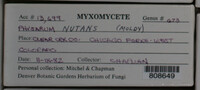 Image Associated With the Occurence